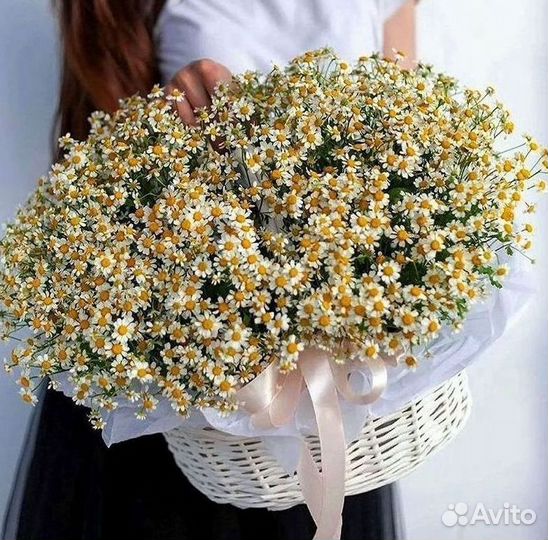 Цветы ромашки. Букеты ромашек. Цветы доставка