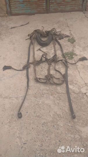 Упряжь для лошади