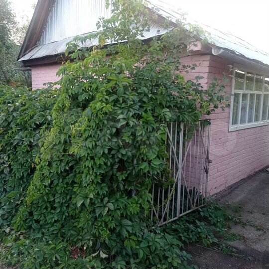 Дача 20 м² на участке 4 сот.