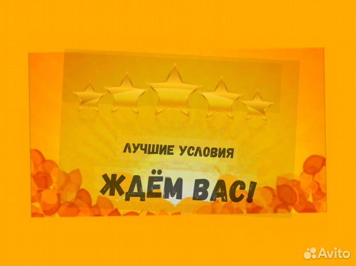 Наборщик заказов Без опыта Еженедельные выплаты