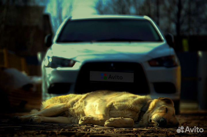 Mitsubishi Lancer 1.8 МТ, 2011, 217 000 км