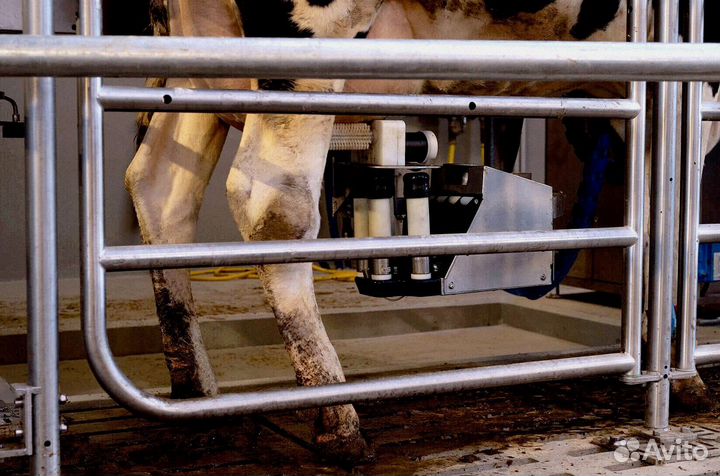 Доильный робот для ферм