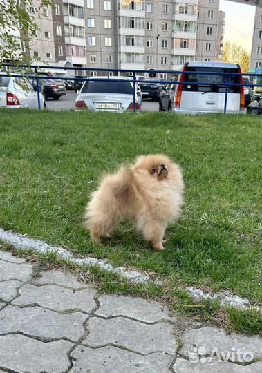 Малюсенький мальчик