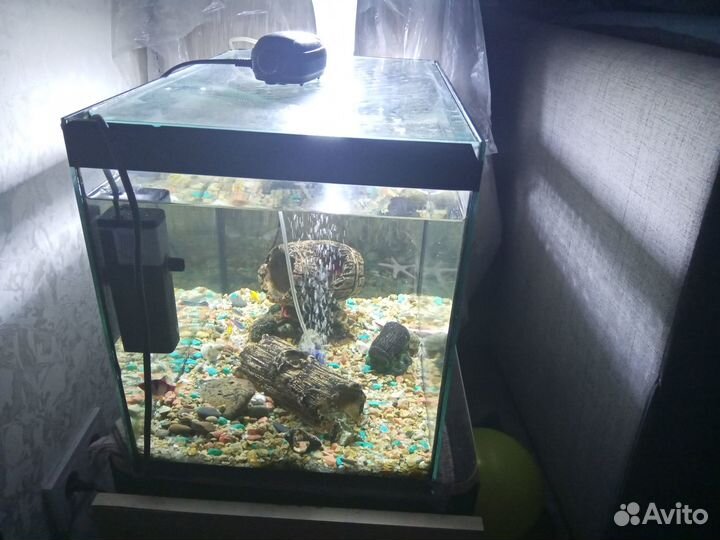 Продам аквариум с рыбками