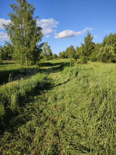 Участок 12 сот. (ИЖС)