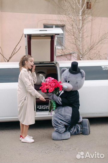 Белый медведь, гендер пати, пупсики на выписку