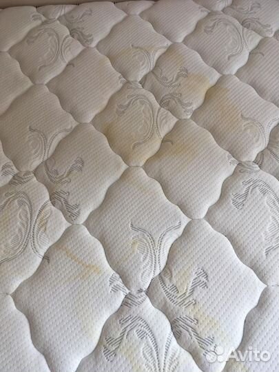 Аренда моющего пылесоса Karcher