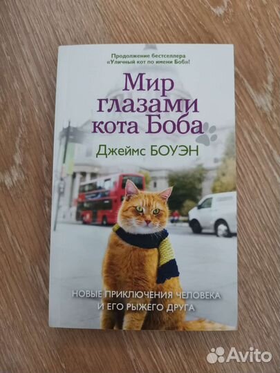 Джеймс Боуэн - Мир глазами кота Боба
