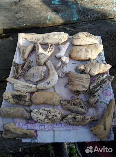 Коряги, камни, грунт