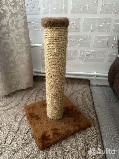 Когтеточка