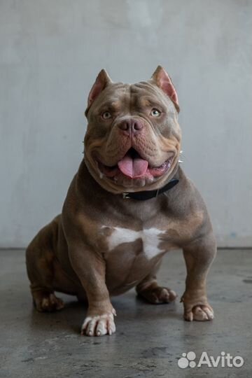 Кабель для вязки