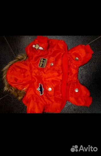 Куртка и ботинки для собаки