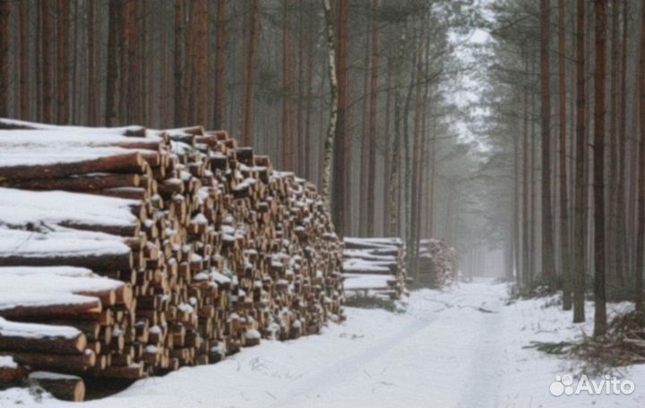 Дрова дубовые