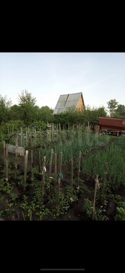 Участок 6 сот. (СНТ, ДНП)