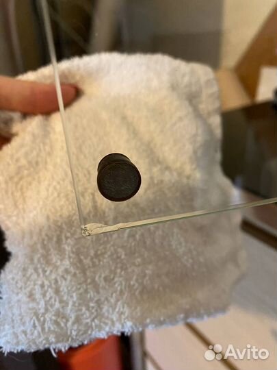 Террариум для рептилий