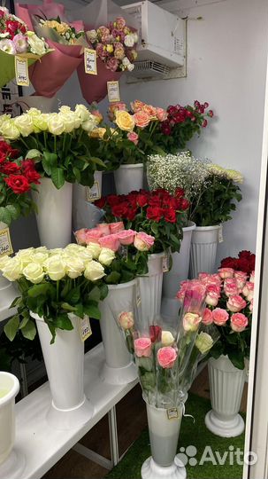 Живые цветы букеты