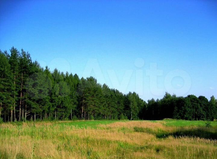 Участок 4,1 га (СНТ, ДНП)