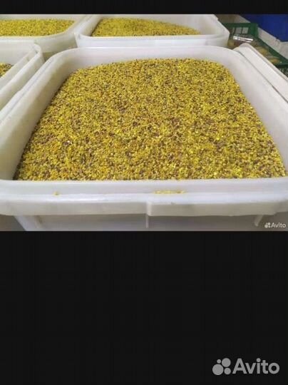 Пыльца пчелиная пару кило