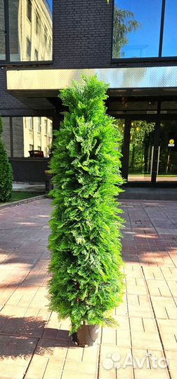 Искусственное дерево Туя 160 см