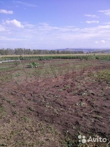 Участок 20 сот. (СНТ, ДНП)