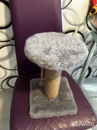 Когтеточка для кошек