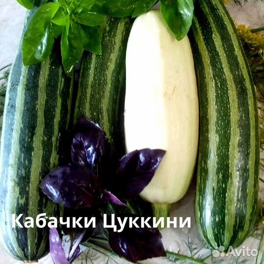 Домашние семена овощей,цветов,зелени,саженцы