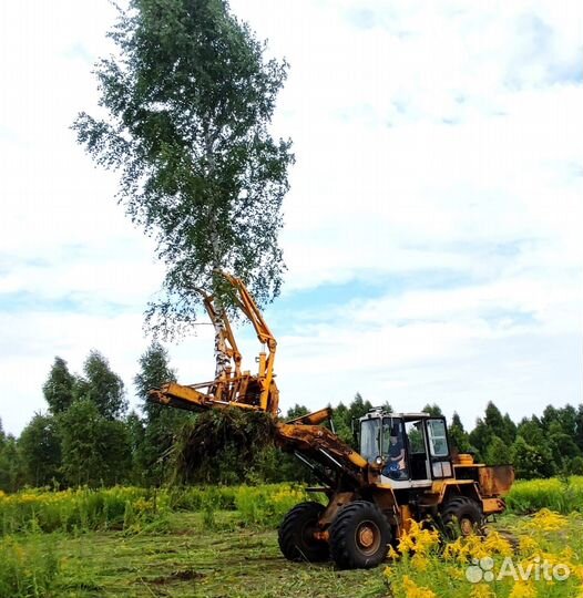 Корчевание