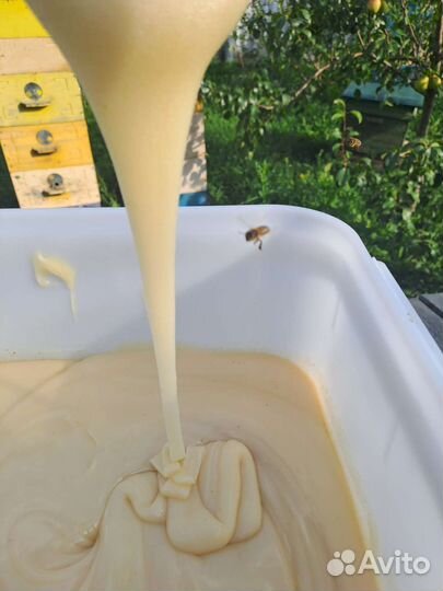 Крем мёд. Классический, пока без орехов