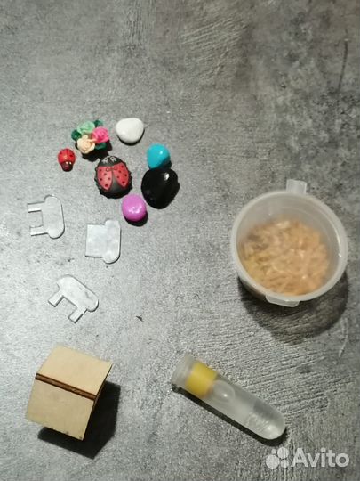 Муравьиная ферма без муравьев