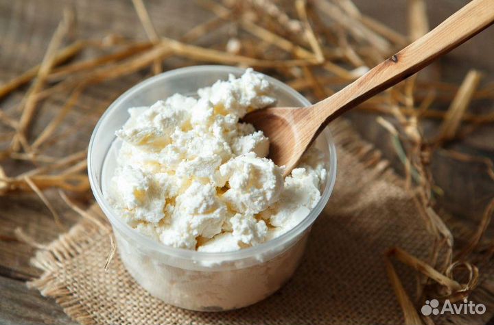 Творог Оптом