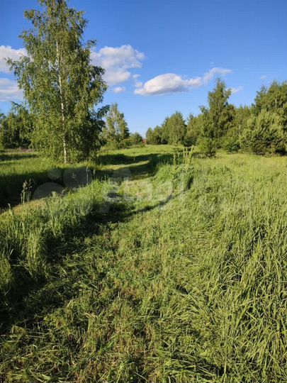 Участок 12 сот. (ИЖС)