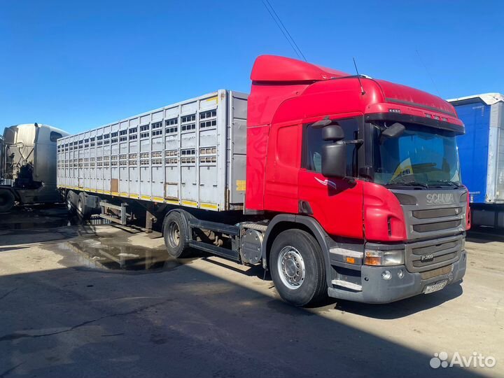 Перевозка крупных животных / крс / Скотовоз /Скот