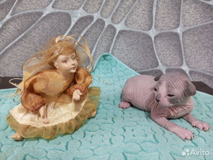 Канадский сфинкс