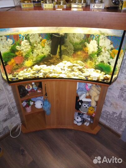Аквариум100л, тумба. Продаю с сомом. Торг
