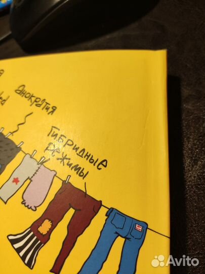 Екатерина Шульман 