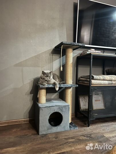 Домик для кошки бу