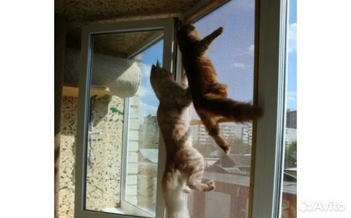 Москитные сетки / антикошка / антипыль