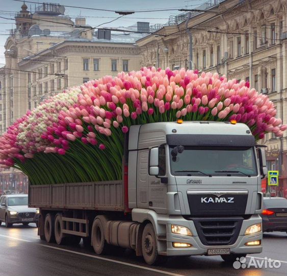 Услуги самосвал 25т
