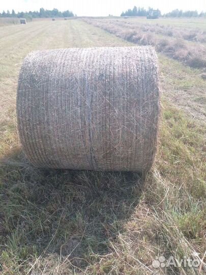 Сено в рулонах 2022