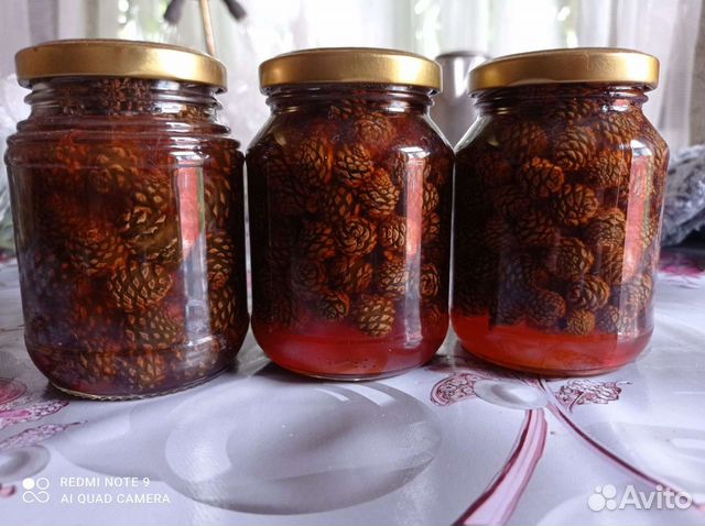 Варенье из сосновых шишек