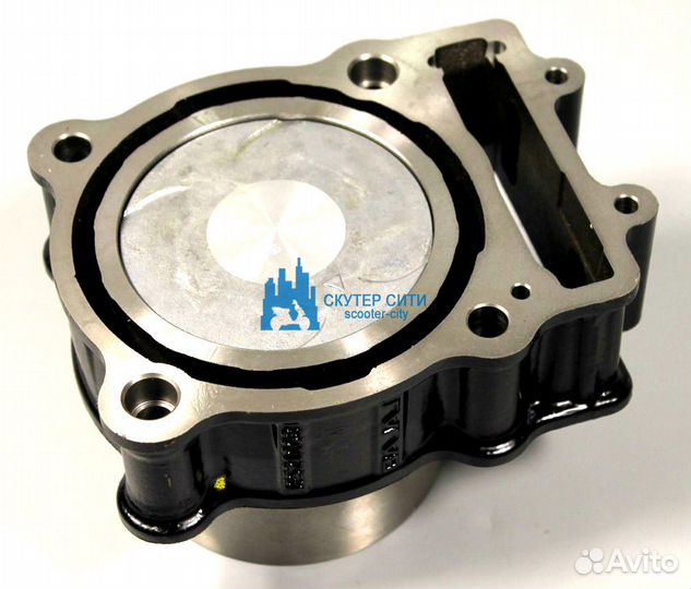 Цилиндр с поршнем и кольцами в сборе bajaj Dominar