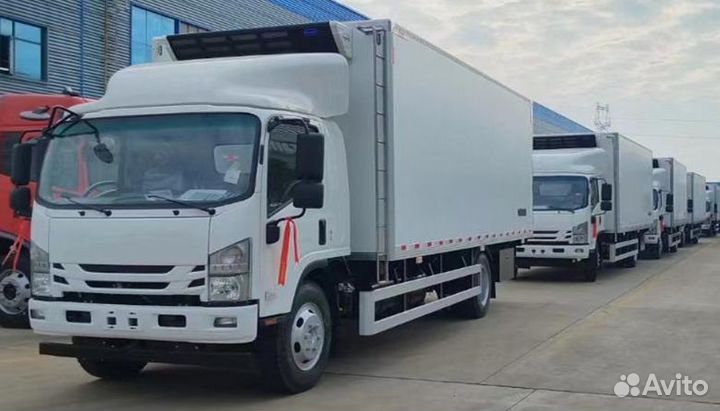 Isuzu 700P, 2024