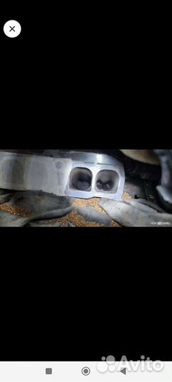 Двигатель mazda 6gj 2.0