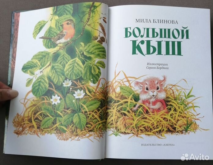 Книга Большой Кыш