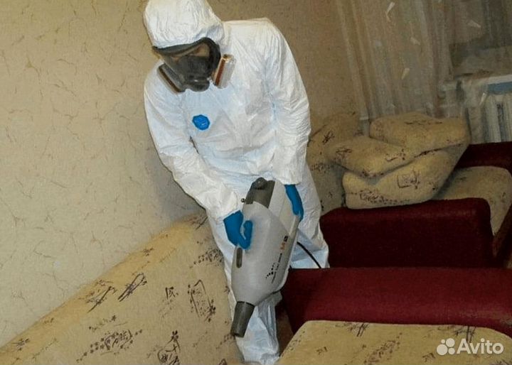 Уничтожение клопов тараканов грибка плесени