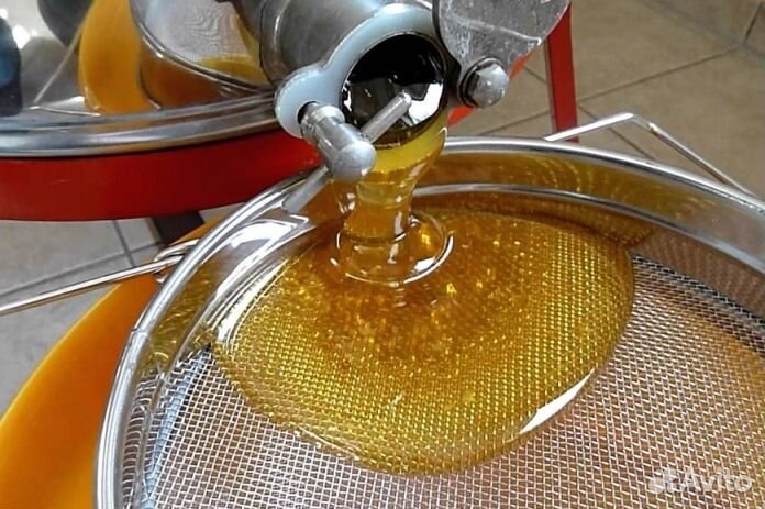 Мёд натуральный с Алтая оптом min 16kg