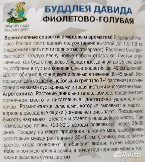 Будлея Давида