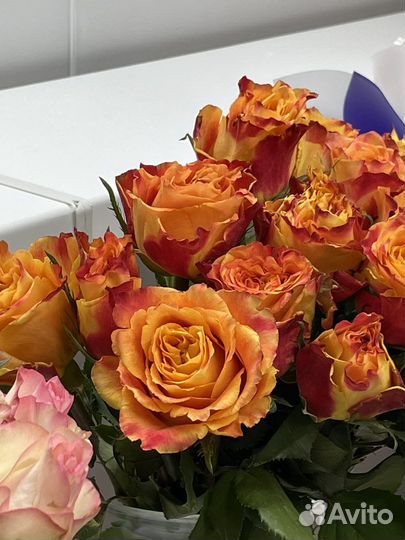 Букеты из 101 розы