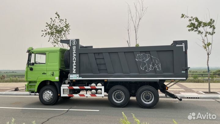 Shacman (Shaanxi) F3000, 2023