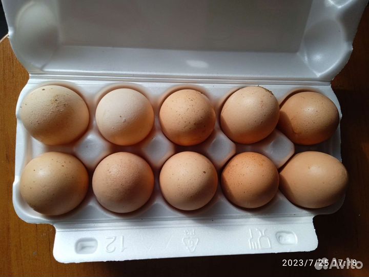Домашние куриные яйца